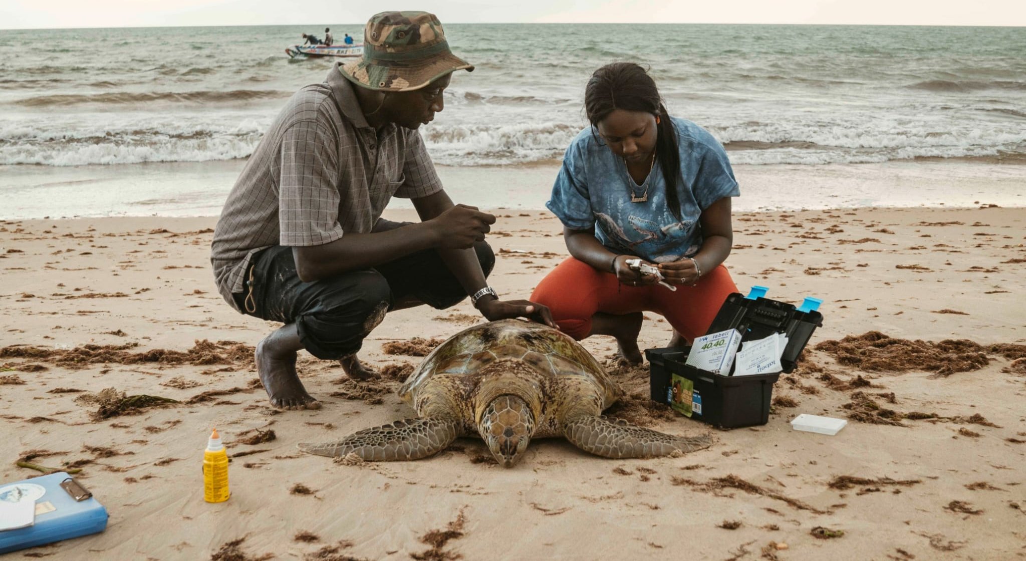 ACI team preparing to take samples from a sea turtle.